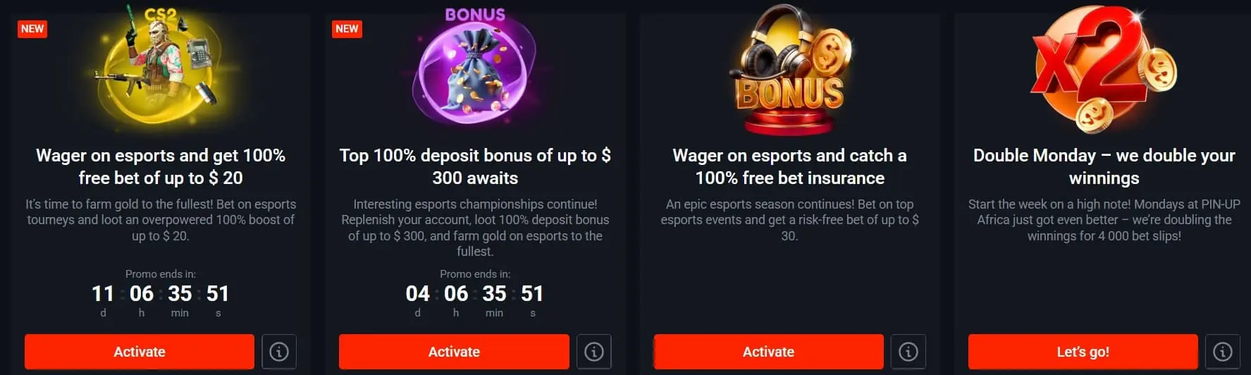 Bonus Offers Pin-Up Bet Kenya